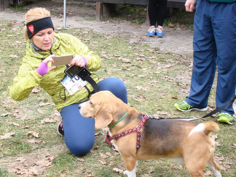 Rekordowy bieg, marsz i kijomarsz (zdjęcia)