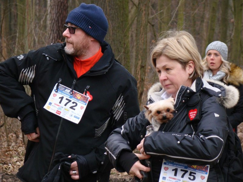 Rekordowy bieg, marsz i kijomarsz (zdjęcia)