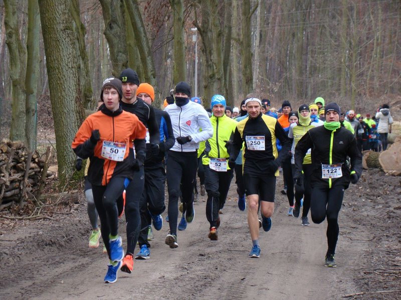 Rekordowy bieg, marsz i kijomarsz (zdjęcia)