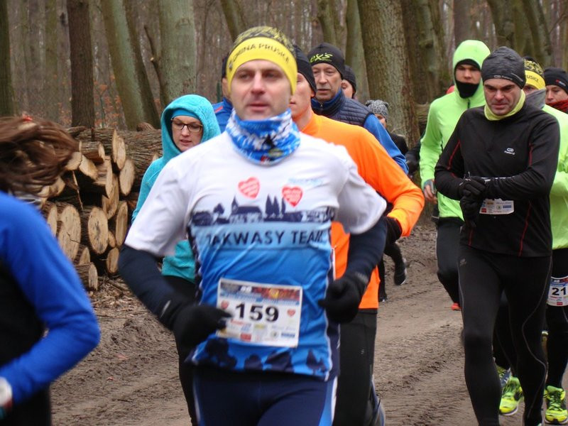 Rekordowy bieg, marsz i kijomarsz (zdjęcia)