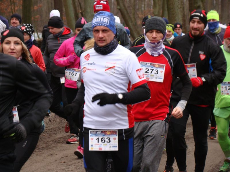 Rekordowy bieg, marsz i kijomarsz (zdjęcia)