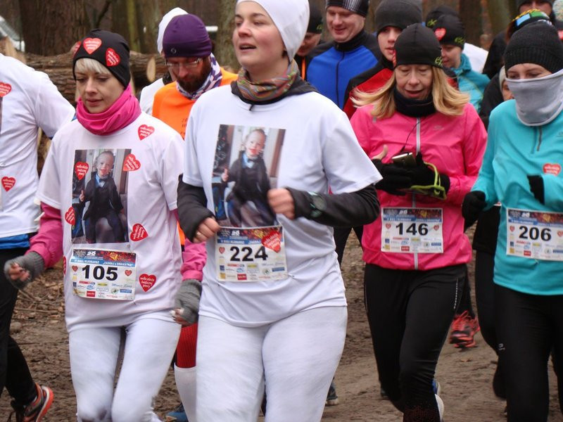 Rekordowy bieg, marsz i kijomarsz (zdjęcia)