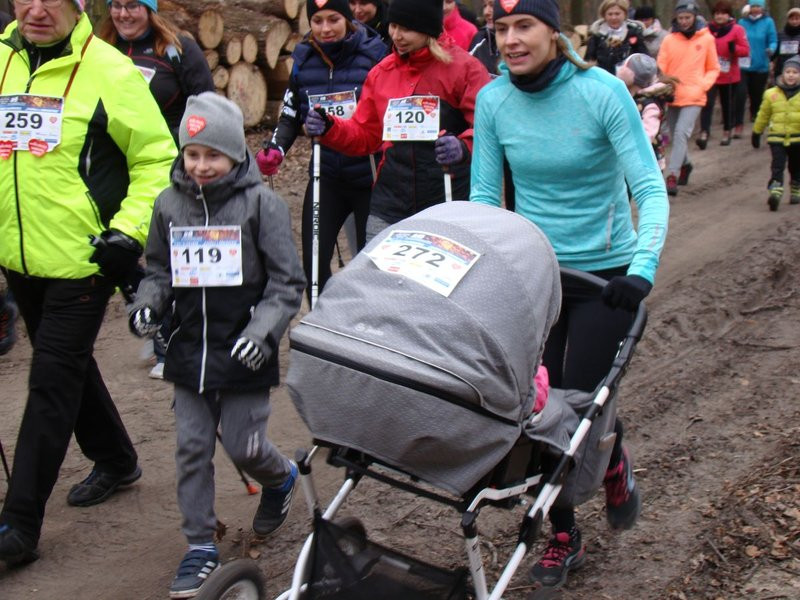 Rekordowy bieg, marsz i kijomarsz (zdjęcia)