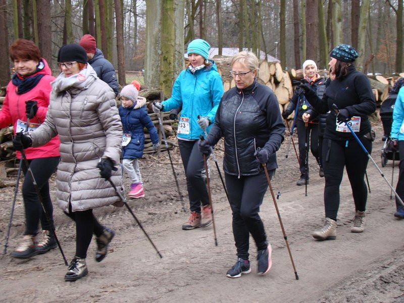 Rekordowy bieg, marsz i kijomarsz (zdjęcia)