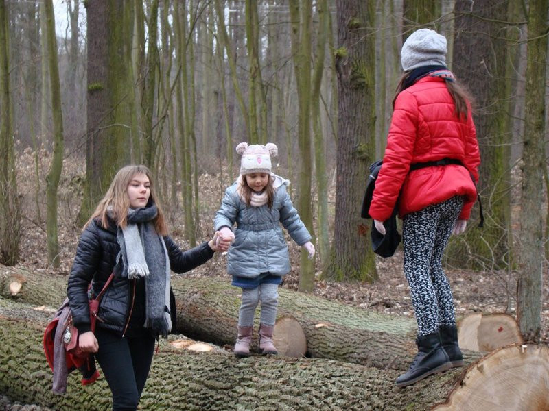 Rekordowy bieg, marsz i kijomarsz (zdjęcia)