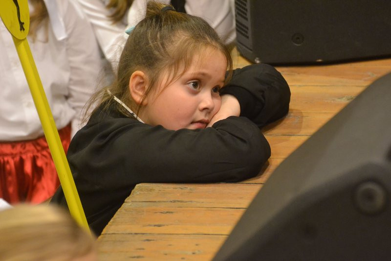 Rekord WOŚP w gminie Krzemieniewo (zdjęcia)