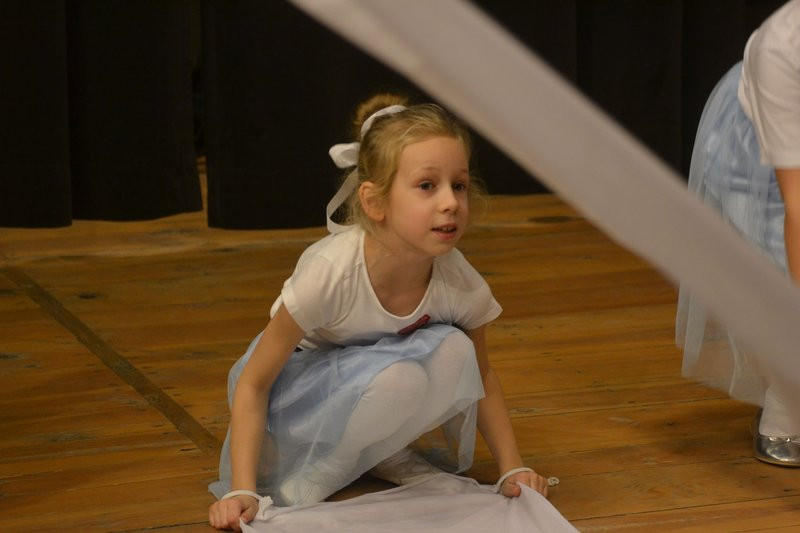 Rekord WOŚP w gminie Krzemieniewo (zdjęcia)