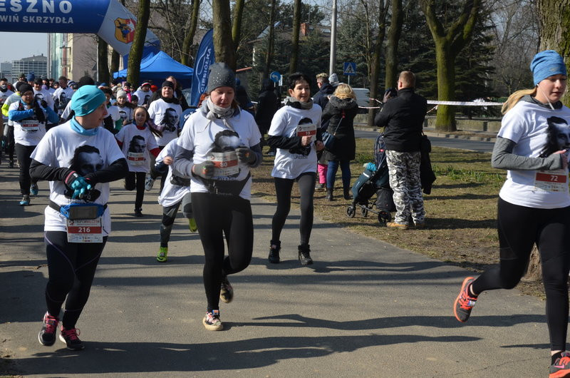 Krawczyk wygrał bezapelacyjnie (zdjęcia)
