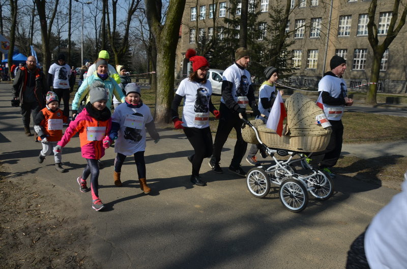 Krawczyk wygrał bezapelacyjnie (zdjęcia)