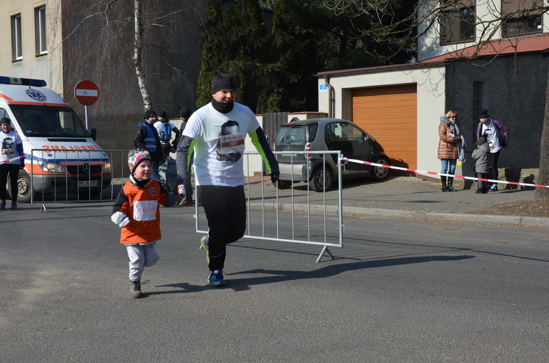 Krawczyk wygrał bezapelacyjnie (zdjęcia)