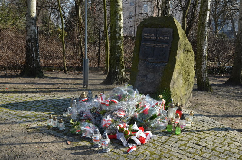 Krawczyk wygrał bezapelacyjnie (zdjęcia)