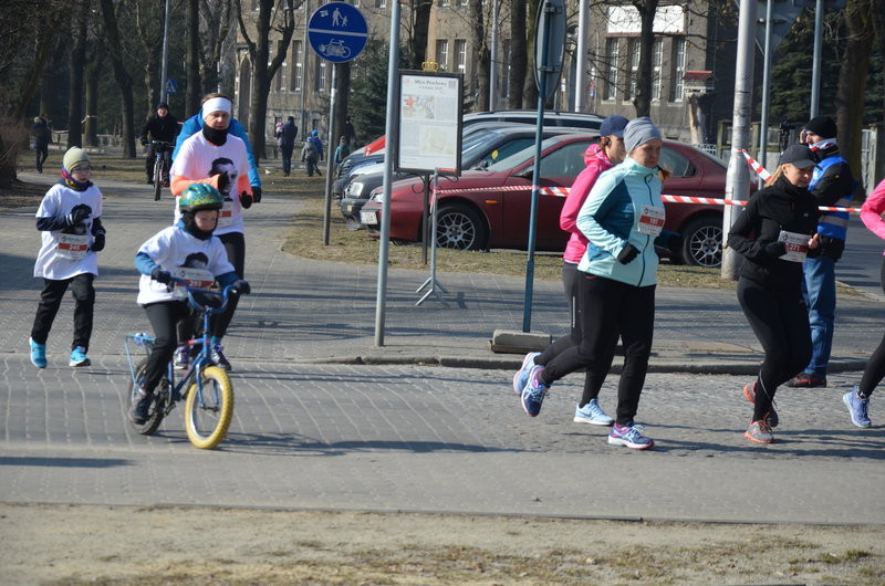 Krawczyk wygrał bezapelacyjnie (zdjęcia)