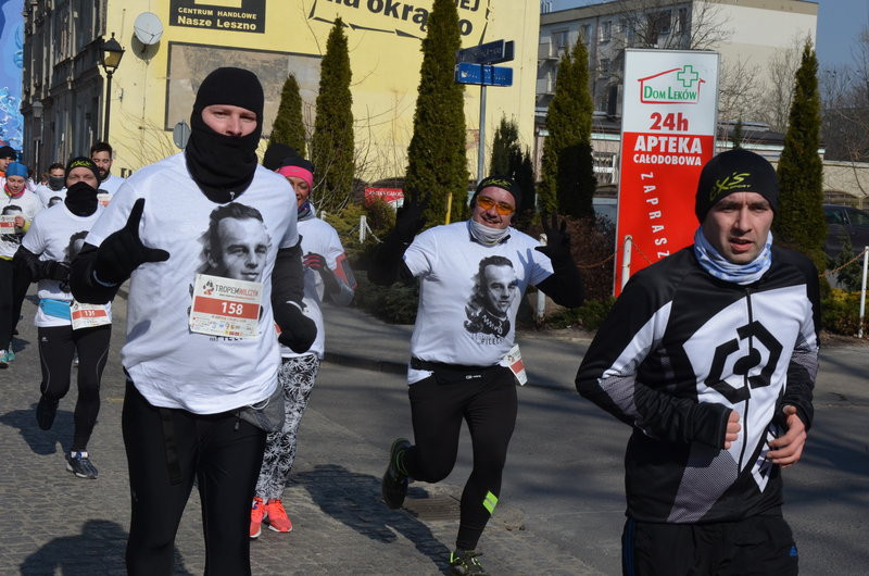 Krawczyk wygrał bezapelacyjnie (zdjęcia)
