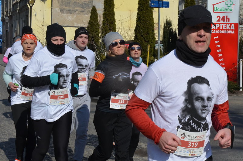Krawczyk wygrał bezapelacyjnie (zdjęcia)