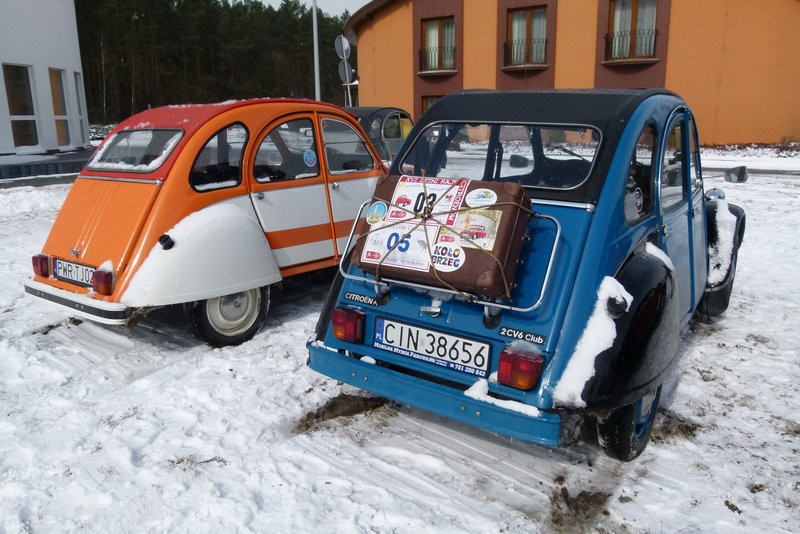 Kaczuszki w mniejszej obsadzie (zdjęcia)