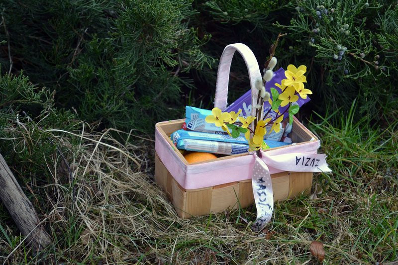 Zajączek odwiedził Drobnin (zdjęcia)