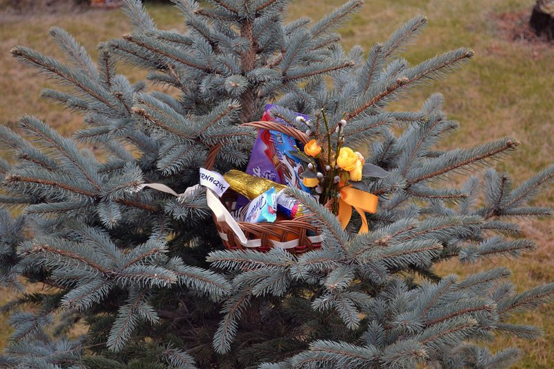 Zajączek odwiedził Drobnin (zdjęcia)