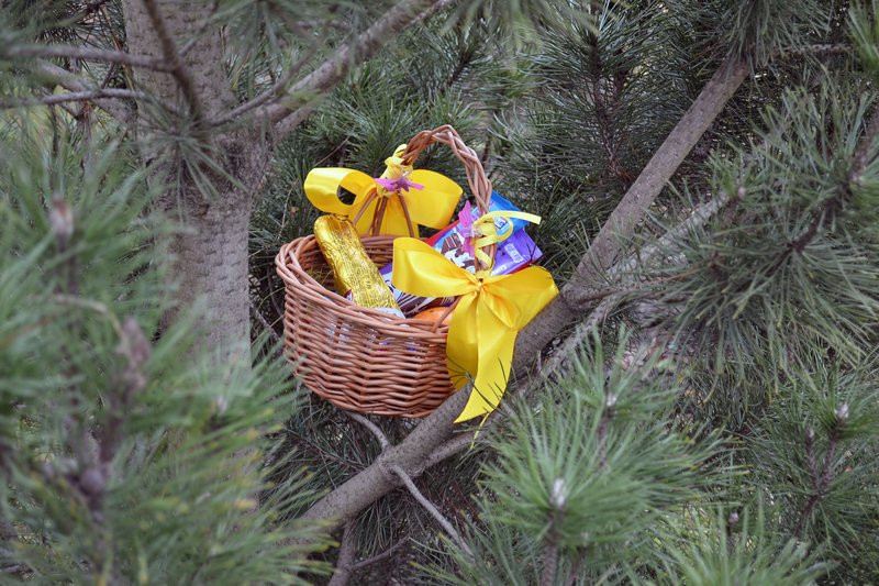 Zajączek odwiedził Drobnin (zdjęcia)