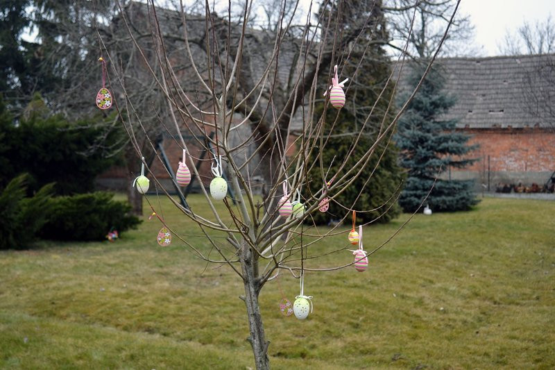 Zajączek odwiedził Drobnin (zdjęcia)