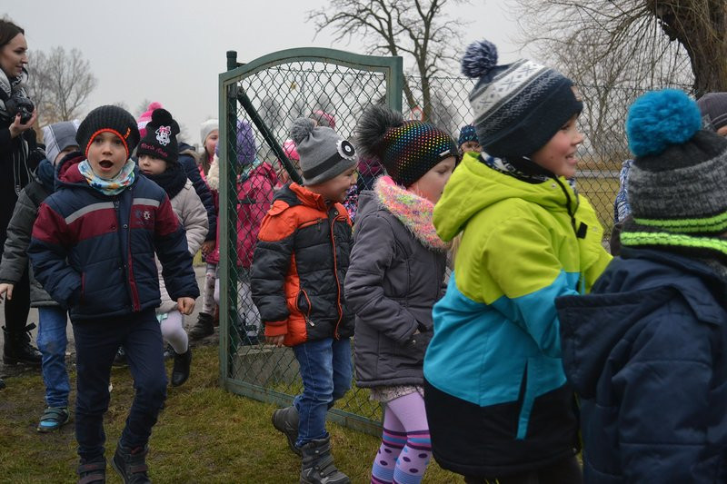 Zajączek odwiedził Drobnin (zdjęcia)