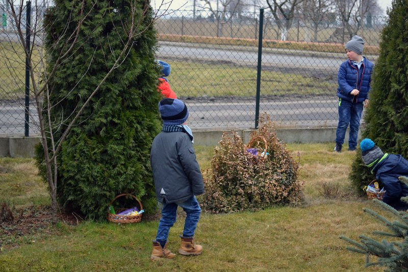 Zajączek odwiedził Drobnin (zdjęcia)