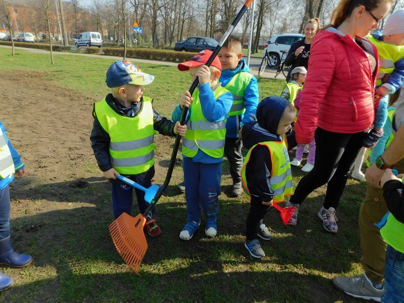Łąka dla lokatorów hotelu dla owadów