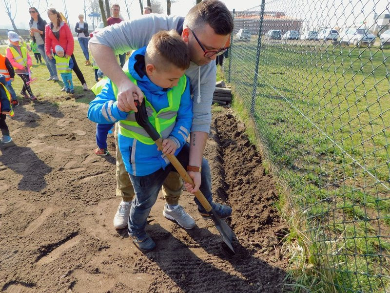 Łąka dla lokatorów hotelu dla owadów