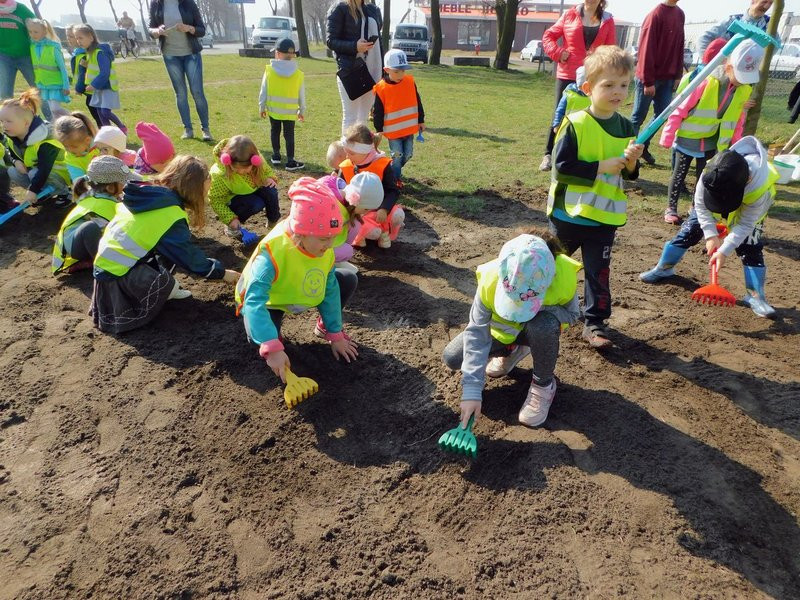 Łąka dla lokatorów hotelu dla owadów