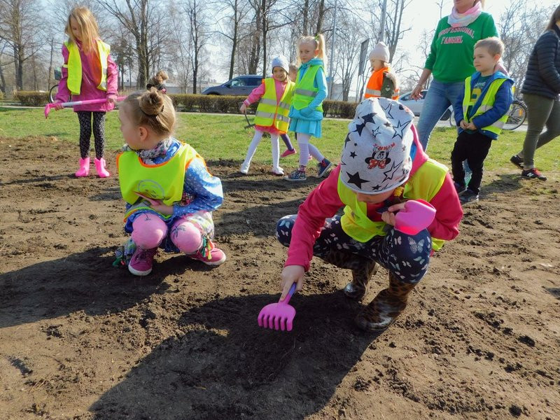 Łąka dla lokatorów hotelu dla owadów