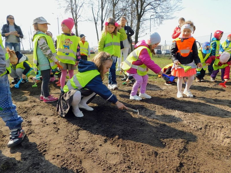 Łąka dla lokatorów hotelu dla owadów