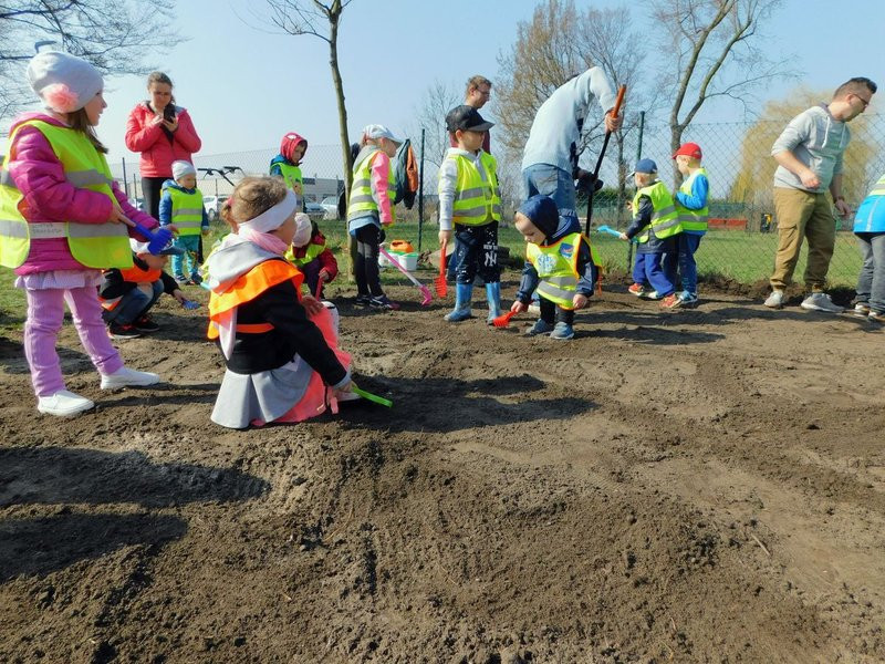 Łąka dla lokatorów hotelu dla owadów
