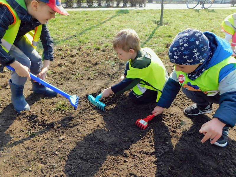 Łąka dla lokatorów hotelu dla owadów