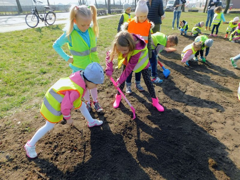 Łąka dla lokatorów hotelu dla owadów