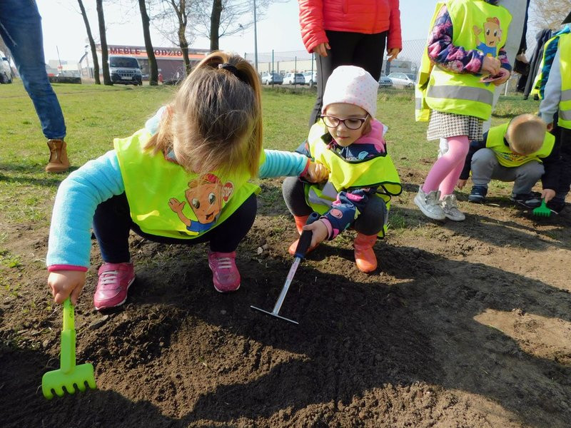 Łąka dla lokatorów hotelu dla owadów