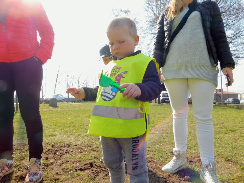 Łąka dla lokatorów hotelu dla owadów