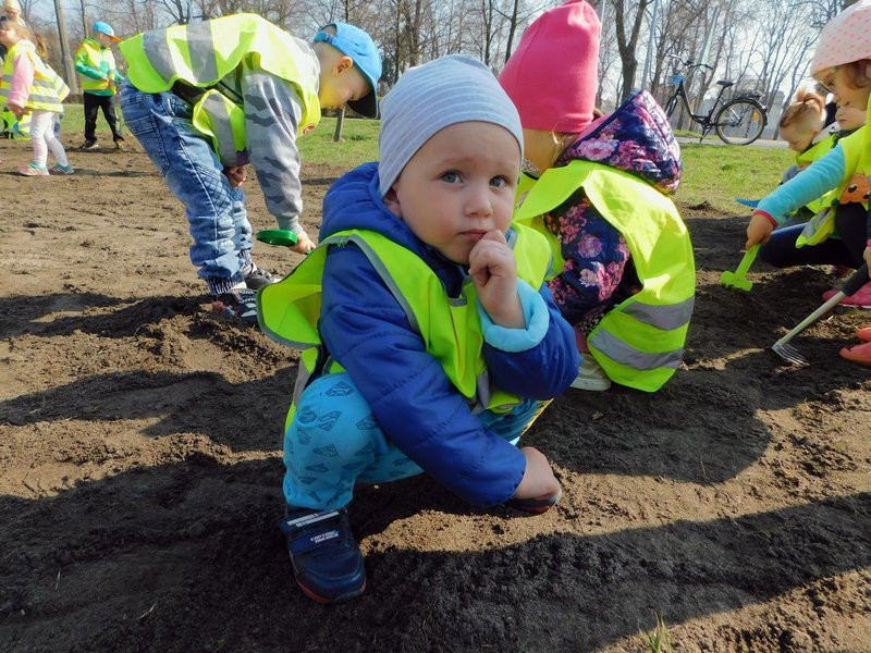 Łąka dla lokatorów hotelu dla owadów