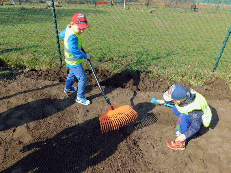 Łąka dla lokatorów hotelu dla owadów