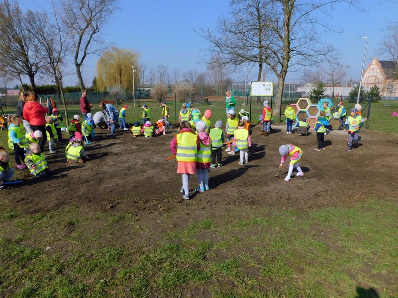 Łąka dla lokatorów hotelu dla owadów