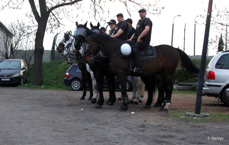 Emocje na torze i na widowni (zdjęcia)