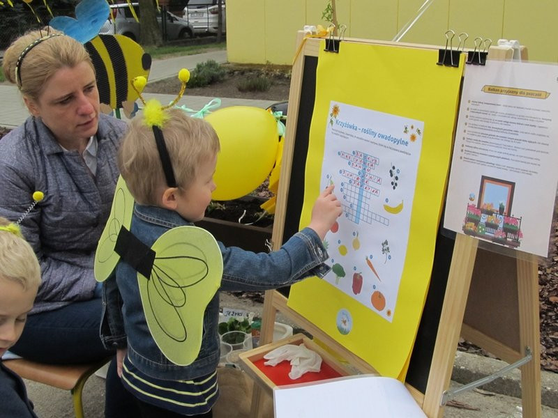 Atak pszczół w centrum Leszna (zdjęcia)