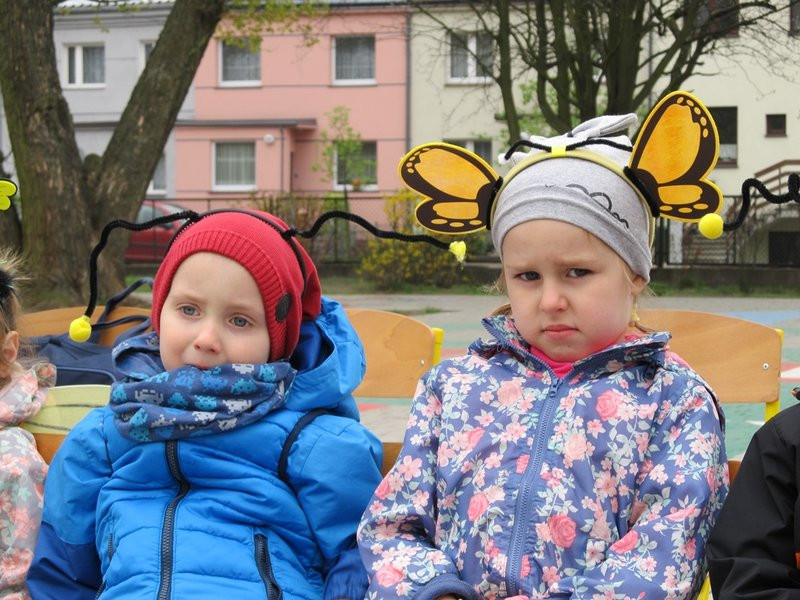 Atak pszczół w centrum Leszna (zdjęcia)