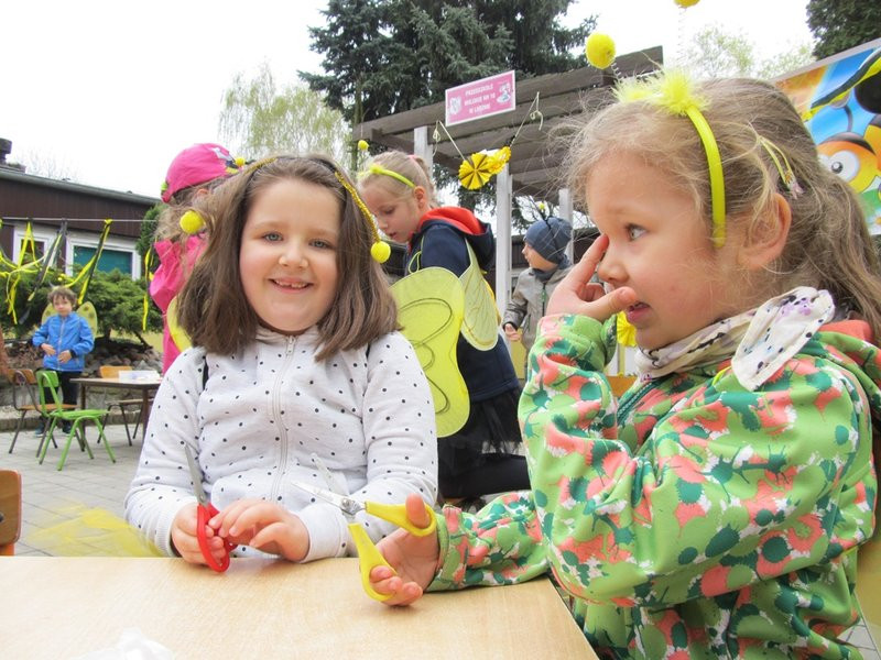 Atak pszczół w centrum Leszna (zdjęcia)