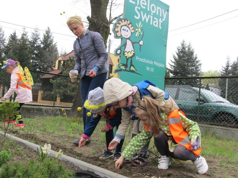 Atak pszczół w centrum Leszna (zdjęcia)