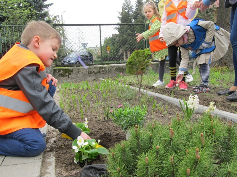 Atak pszczół w centrum Leszna (zdjęcia)