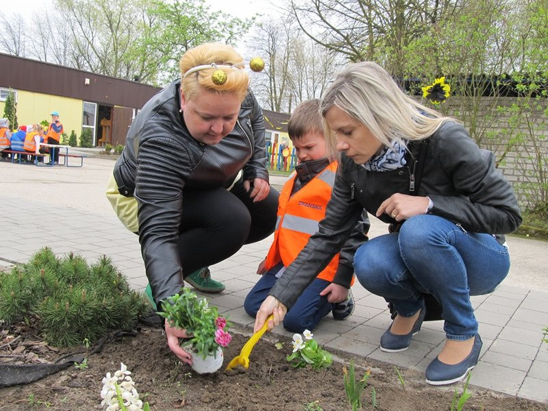Atak pszczół w centrum Leszna (zdjęcia)