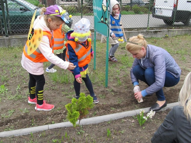 Atak pszczół w centrum Leszna (zdjęcia)