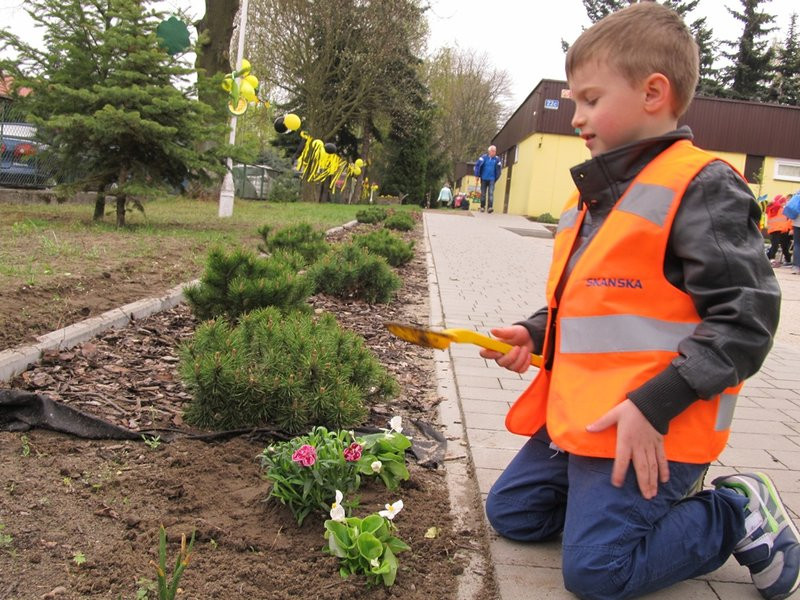 Atak pszczół w centrum Leszna (zdjęcia)