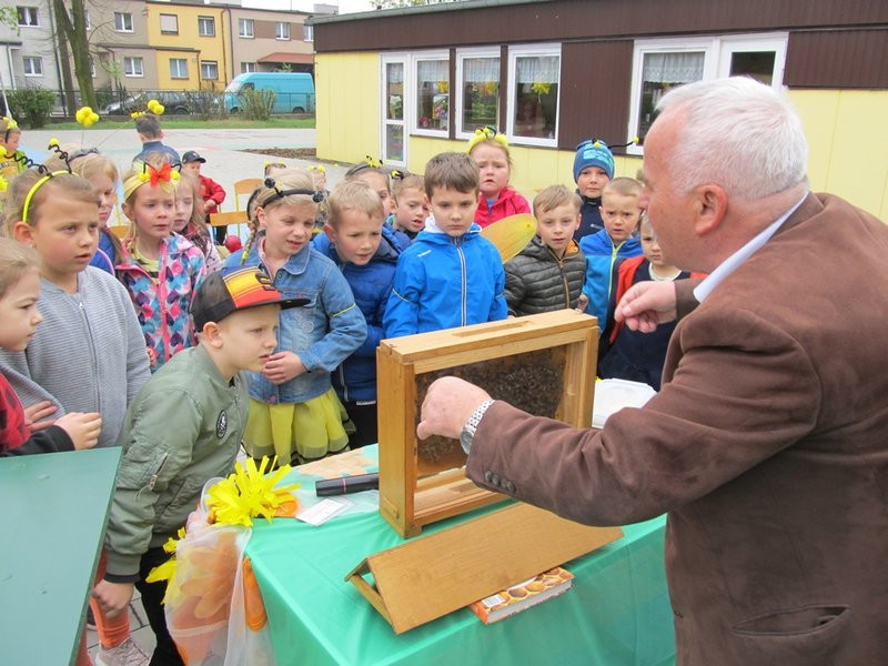 Atak pszczół w centrum Leszna (zdjęcia)