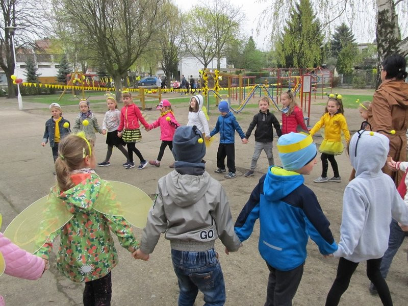 Atak pszczół w centrum Leszna (zdjęcia)