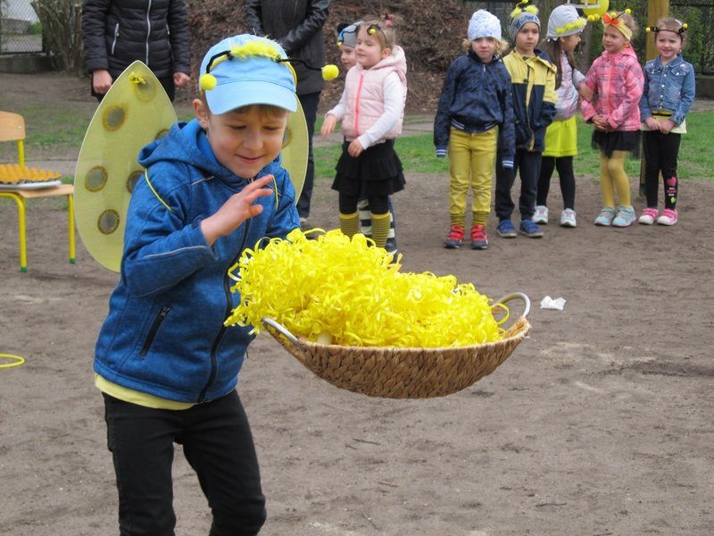 Atak pszczół w centrum Leszna (zdjęcia)